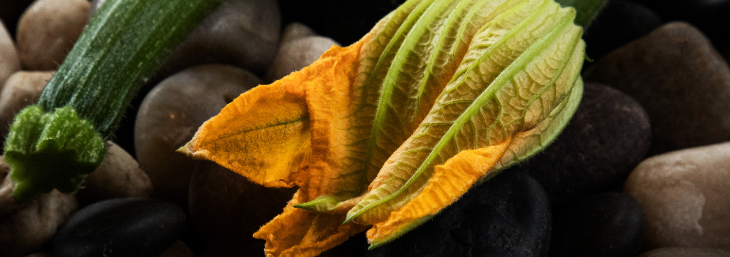 VL Catering_Estelle_Ingredients-4