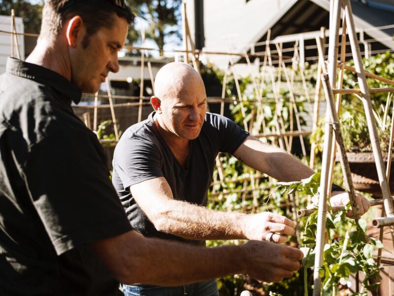 Matt Moran